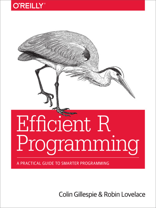 Title details for Efficient R Programming by Colin Gillespie - Wait list